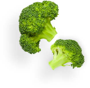 broccoli